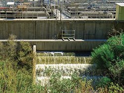 We1807 24 300x226 We1807 24 300x226