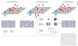 We1807 48 687 W Caption We1807 48 687 W Caption