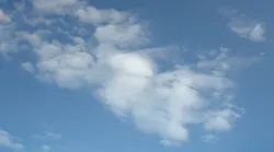 1808wwft1 P03r