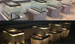 Ww Midge Fly Wastewater Ohio Ww Midge Fly Wastewater Ohio