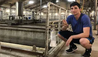 Researchers study midge fly infestation in Ohio wastewater treatment ...