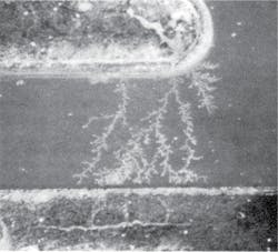 1809wwfoc Rev3 1809wwfoc Rev3