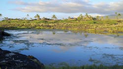 1809wwft1 P2 1809wwft1 P2