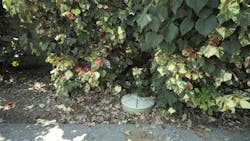 1809wwft1 P4 1809wwft1 P4