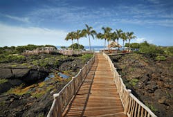 1809wwft1 P5 1809wwft1 P5