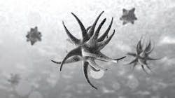 Content Dam Ww Online Articles 2018 09 Ww Wrf Microbial Control Content Dam Ww Online Articles 2018 09 Ww Wrf Microbial Control