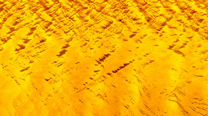 Content Dam Ww Online Articles 2018 10 Iww Cool Calm Yellow Water Background