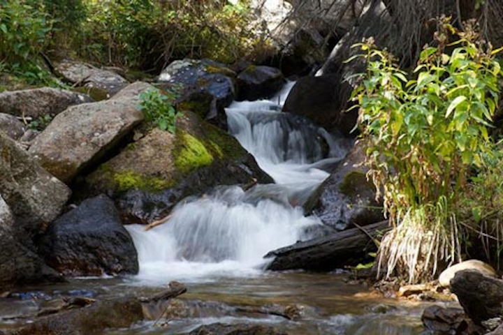 The Clean Water Act decreased measures of water pollution in US lakes, streams and rivers.