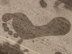 Content Dam Ww Online Articles 2018 10 Ww Newscast 20181015 Water Footprint 3098 Pixabay Cc0 200x150 Content Dam Ww Online Articles 2018 10 Ww Newscast 20181015 Water Footprint 3098 Pixabay Cc0 200x150