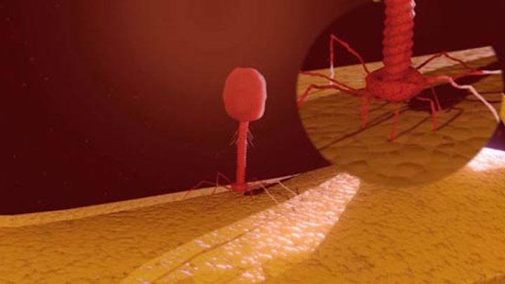 Content Dam Ww Online Articles 2018 10 Ww Virus Destroys Ecoli