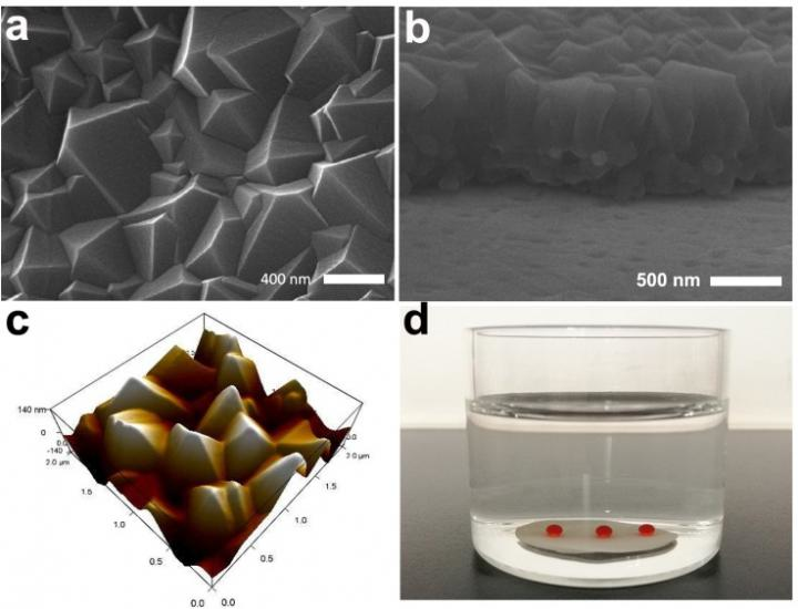 Content Dam Ww Online Articles 2018 10 Wwi Micro Nano Architectures 182623 Web