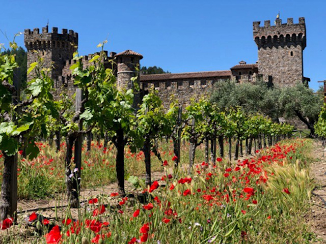Iww Winery Zcl