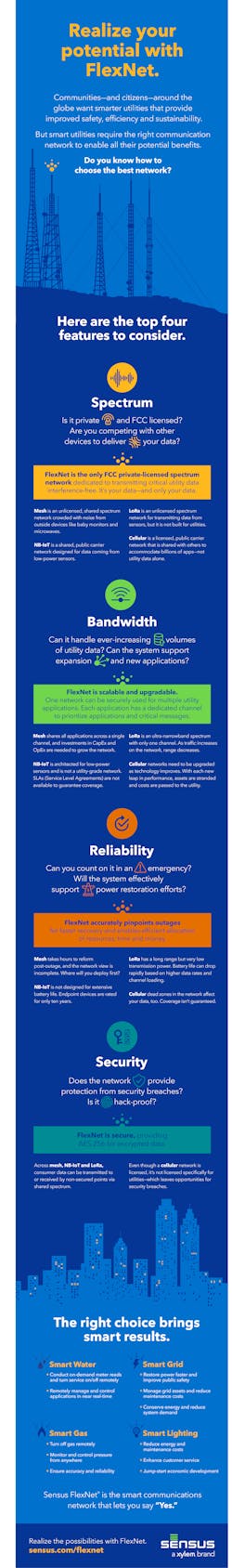 Realize Your Potential With Flexnet Infographic