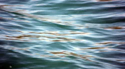 Content Dam Ww Online Articles 2018 10 Ww Water Background 3 1383578603n7j