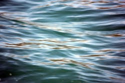 Content Dam Ww Online Articles 2018 10 Ww Water Background 3 1383578603n7j Content Dam Ww Online Articles 2018 10 Ww Water Background 3 1383578603n7j