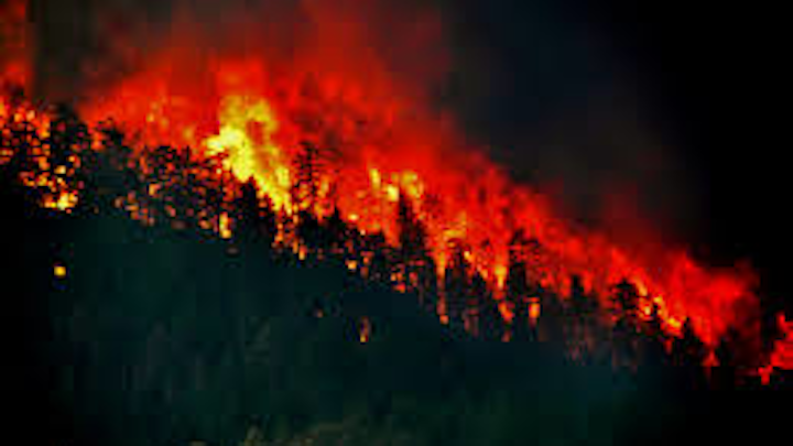 Content Dam Ww Online Articles 2018 11 Ww Wildfires