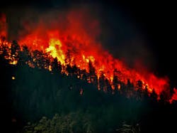 Content Dam Ww Online Articles 2018 11 Ww Wildfires Content Dam Ww Online Articles 2018 11 Ww Wildfires