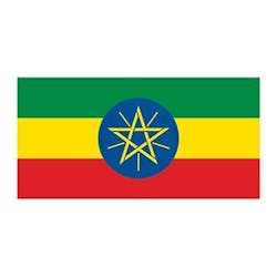Content Dam Ww Online Articles 2018 11 Wwi Flag Of Ethiopia Temporary Tattoo 2498