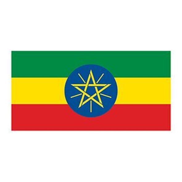 Content Dam Ww Online Articles 2018 11 Wwi Flag Of Ethiopia Temporary Tattoo 2498