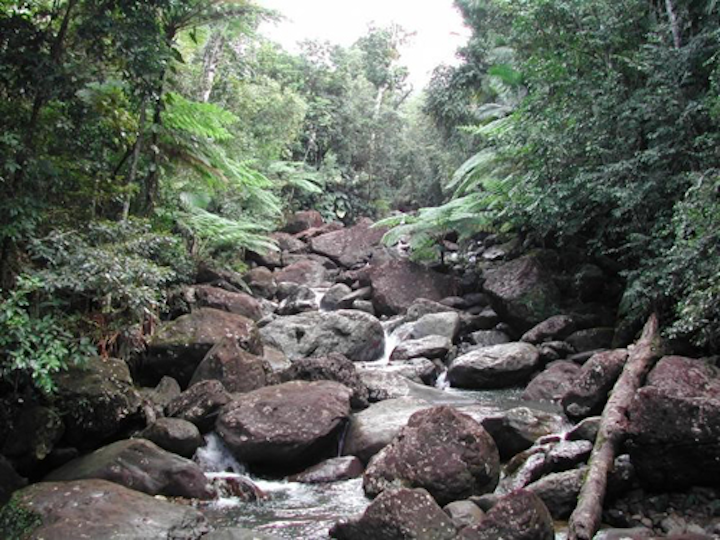 Content Dam Ww Online Articles 2018 12 Unh Watershed Research