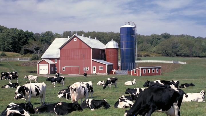 Content Dam Ww Online Articles 2018 12 Ww Dairy