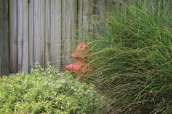 1901wwft2 P01 1901wwft2 P01