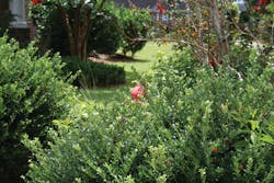 1901wwft2 P02 1901wwft2 P02