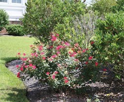 1901wwft2 P03 1901wwft2 P03