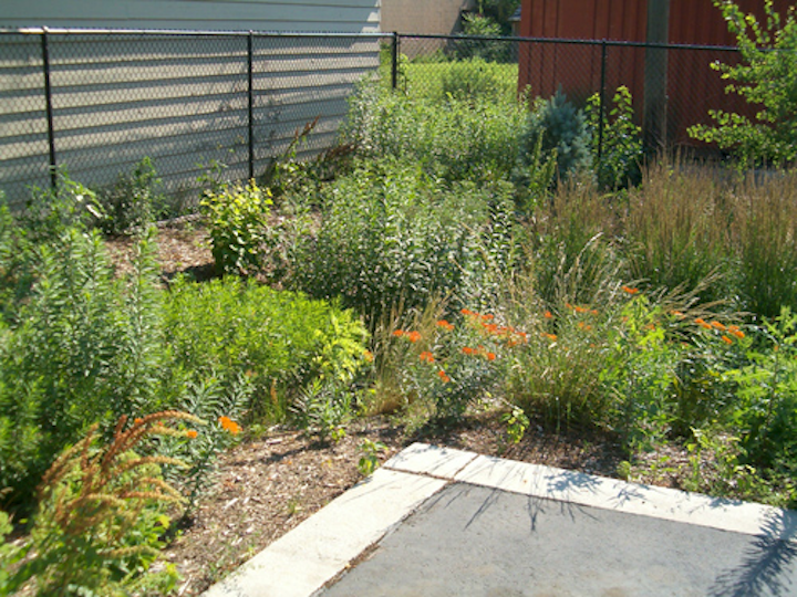 Content Dam Ww Online Articles 2016 12 7sigma Raingarden 66
