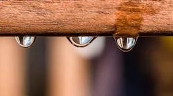 Content Dam Ww Online Articles 2016 12 Drip 1727940 640