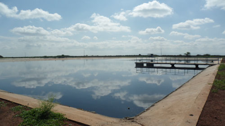 Content Dam Ww Online Articles 2016 12 Facultative Pond 6898410678