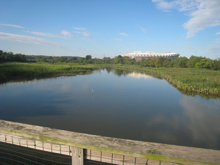 The Anacostia River.