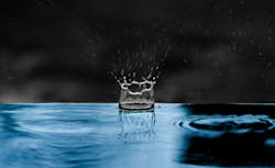 Content Dam Ww Online Articles 2017 01 Pexels Photo 67473 Content Dam Ww Online Articles 2017 01 Pexels Photo 67473