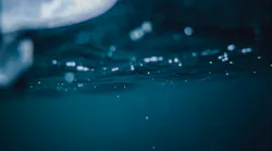 Content Dam Ww Online Articles 2017 01 Pexels Photo 94699