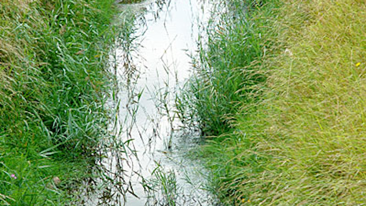 Content Dam Ww Online Articles 2019 01 Ww Ditchwater