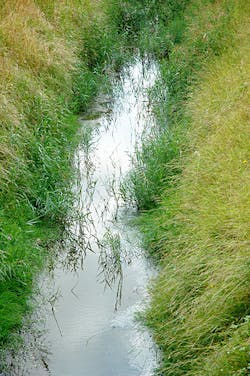 Content Dam Ww Online Articles 2019 01 Ww Ditchwater Content Dam Ww Online Articles 2019 01 Ww Ditchwater