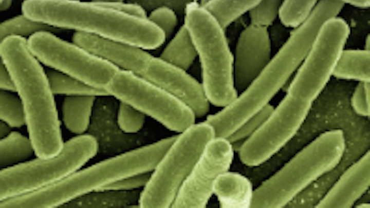 Content Dam Ww Online Articles 2019 01 Ww Newscast 20190128 Koli Bacteria Coliform E Coli 123081 1920 Pixabay Cc0 200x150