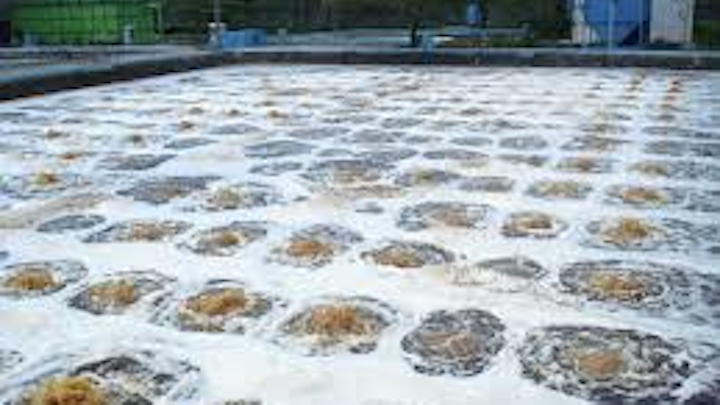 Content Dam Ww Online Articles 2019 01 Ww Wastewater Wikimedia