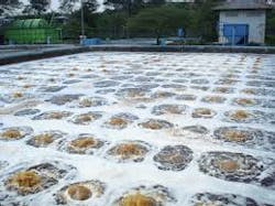 Content Dam Ww Online Articles 2019 01 Ww Wastewater Wikimedia Content Dam Ww Online Articles 2019 01 Ww Wastewater Wikimedia