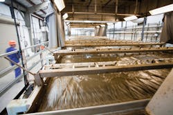 1902wwft2 P01 1902wwft2 P01