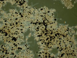 1902wwuw1 P01 1902wwuw1 P01