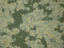 1902wwuw1 P02 1902wwuw1 P02