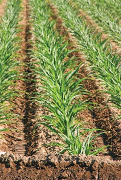 Content Dam Ww En Articles Print Volume 33 Issue 11 Features Shifting Tcp Treatment Costs To Polluters Leftcolumn Article Thumbnailimage File Content Dam Ww En Articles Print Volume 33 Issue 11 Features Shifting Tcp Treatment Costs To Polluters Leftcolumn Article Thumbnailimage File