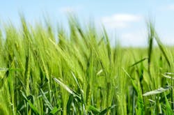 Content Dam Ww En Articles Wwi 2018 06 New Rules Could Stimulate Water Reuse Across Europe Leftcolumn Article Thumbnailimage File Content Dam Ww En Articles Wwi 2018 06 New Rules Could Stimulate Water Reuse Across Europe Leftcolumn Article Thumbnailimage File