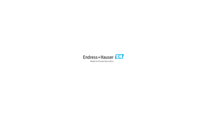 Content Dam Ww En Sponsors A H Endress Hauser Leftcolumn Sponsor Vendorlogo File