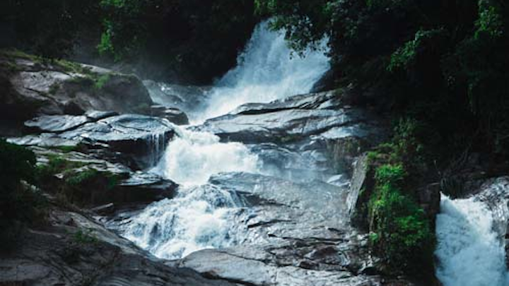 Content Dam Ww Online Articles 2019 02 Ww Cascade Environment Forest 934868