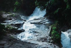 Content Dam Ww Online Articles 2019 02 Ww Cascade Environment Forest 934868 Content Dam Ww Online Articles 2019 02 Ww Cascade Environment Forest 934868