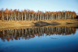 Content Dam Ww Online Articles 2019 02 Ww William Steel Pt1 Content Dam Ww Online Articles 2019 02 Ww William Steel Pt1