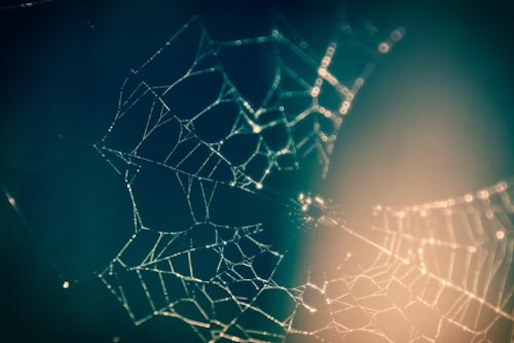 Content Dam Ww Online Articles 2019 03 Ww Blur Blurry Close Up 167259