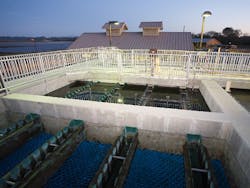 Content Dam Ww Online Articles 2019 03 Ww Bofr Title Xvi Content Dam Ww Online Articles 2019 03 Ww Bofr Title Xvi